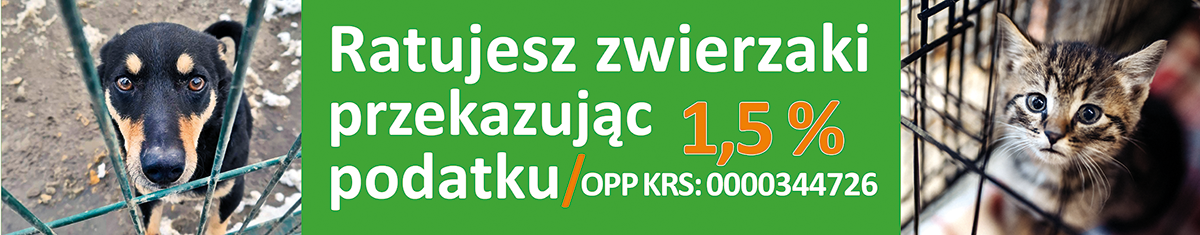 www.psitulmnie.pl